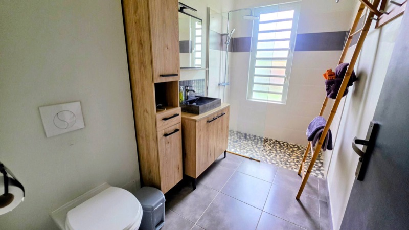 La salle d’eau avec douche et WC